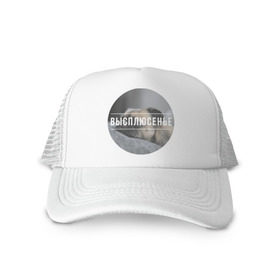 Кепка тракер с сеткой с принтом Высплюсенье в Ухте, трикотажное полотно; задняя часть — сетка | длинный козырек, универсальный размер, пластиковая застежка | высплюсенье | животные | прикольные картинки