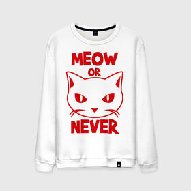 Мужской свитшот хлопок с принтом Meow or never в Ухте, 100% хлопок |  | meow | never | кот | кошка | мяу | никогда