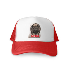 Кепка тракер с сеткой с принтом Pug life в Ухте, трикотажное полотно; задняя часть — сетка | длинный козырек, универсальный размер, пластиковая застежка | pug life | жизнь | капюшон | мопс | собака
