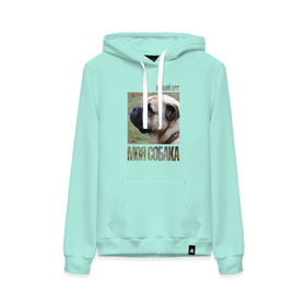 Женская толстовка хлопок Кадебо (Ка Де Бо): в Ухте, френч-терри, мягкий теплый начес внутри (100% хлопок) | карман-кенгуру, эластичные манжеты и нижняя кромка, капюшон с подкладом и шнурком | drug | ка де бо | кадебо | порода | собака