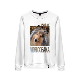 Женский свитшот хлопок с принтом Колли в Ухте, 100% хлопок | прямой крой, круглый вырез, на манжетах и по низу широкая трикотажная резинка  | 