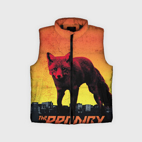Детский жилет утепленный 3D с принтом The Prodigy в Ухте,  |  | лиса