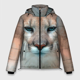 Мужская зимняя куртка 3D с принтом Пума в Ухте, верх — 100% полиэстер; подкладка — 100% полиэстер; утеплитель — 100% полиэстер | длина ниже бедра, свободный силуэт Оверсайз. Есть воротник-стойка, отстегивающийся капюшон и ветрозащитная планка. 

Боковые карманы с листочкой на кнопках и внутренний карман на молнии. | животные | киса | кошка | пума