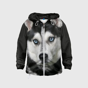 Детская ветровка 3D с принтом Хаски в Ухте, 100% полиэстер | подол и капюшон оформлены резинкой с фиксаторами, по бокам два кармана без застежек, один потайной карман на груди | животные | собака | хаски