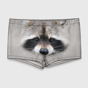 Мужские купальные плавки 3D с принтом Енот в Ухте, Полиэстер 85%, Спандекс 15% |  | енот