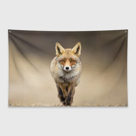 Флаг-баннер с принтом Лиса бежит в Ухте, 100% полиэстер | размер 67 х 109 см, плотность ткани — 95 г/м2; по краям флага есть четыре люверса для крепления | Тематика изображения на принте: лиса