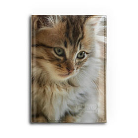 Обложка для автодокументов Кот: в Ухте, натуральная кожа |  размер 19,9*13 см; внутри 4 больших “конверта” для документов и один маленький отдел — туда идеально встанут права | домашняя | животное | кот | котэ | кошка