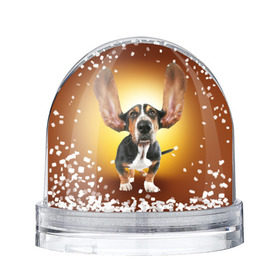 Снежный шар с принтом Бассетхаунд в Ухте, Пластик | Изображение внутри шара печатается на глянцевой фотобумаге с двух сторон | бассетхаунд | ветер | музыка | наушники | собака | уши