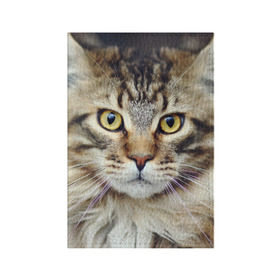 Обложка для паспорта матовая кожа Кот: в Ухте, натуральная матовая кожа | размер 19,3 х 13,7 см; прозрачные пластиковые крепления | домашняя | животное | кот | котэ | кошка