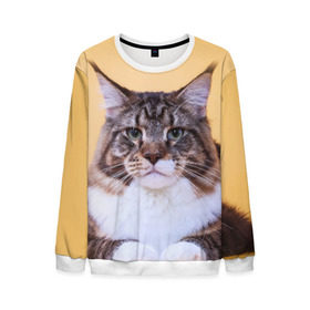 Мужской свитшот 3D с принтом Байкун в Ухте, 100% полиэстер с мягким внутренним слоем | круглый вырез горловины, мягкая резинка на манжетах и поясе, свободная посадка по фигуре | Тематика изображения на принте: байкун | домашняя | животное | кот | котэ | кошка