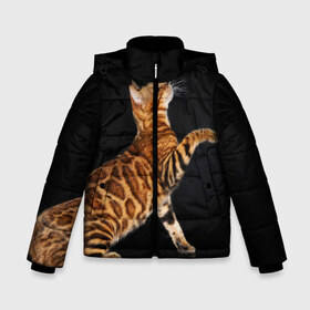Зимняя куртка для мальчиков 3D с принтом Бенгальская кошка в Ухте, ткань верха — 100% полиэстер; подклад — 100% полиэстер, утеплитель — 100% полиэстер | длина ниже бедра, удлиненная спинка, воротник стойка и отстегивающийся капюшон. Есть боковые карманы с листочкой на кнопках, утяжки по низу изделия и внутренний карман на молнии. 

Предусмотрены светоотражающий принт на спинке, радужный светоотражающий элемент на пуллере молнии и на резинке для утяжки | бенгальская | домашняя | животное | кот | котэ | кошка