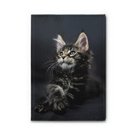 Обложка для автодокументов Кот: в Ухте, натуральная кожа |  размер 19,9*13 см; внутри 4 больших “конверта” для документов и один маленький отдел — туда идеально встанут права | домашняя | животное | кот | котэ | кошка