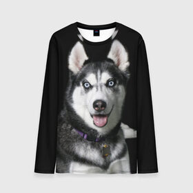 Мужской лонгслив 3D Аляскинский кли кай: в Ухте, 100% полиэстер | длинные рукава, круглый вырез горловины, полуприлегающий силуэт | аляскинский кли кай | животное | порода | собака