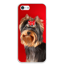 Чехол для iPhone 5/5S матовый Йоркширский терьер: в Ухте, Силикон | Область печати: задняя сторона чехла, без боковых панелей | животное | йоркширский терьер | порода | собака