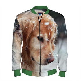 Мужской бомбер 3D с принтом Золотистый ретривер в Ухте, 100% полиэстер | застегивается на молнию, по бокам два кармана без застежек, по низу бомбера и на воротнике - эластичная резинка | Тематика изображения на принте: животное | золотистый ретривер | порода | собака