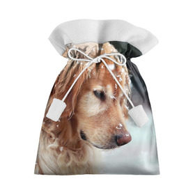 Подарочный 3D мешок Золотистый ретривер: в Ухте, 100% полиэстер | Размер: 29*39 см | животное | золотистый ретривер | порода | собака