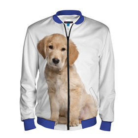 Мужской бомбер 3D с принтом Золотистый ретривер в Ухте, 100% полиэстер | застегивается на молнию, по бокам два кармана без застежек, по низу бомбера и на воротнике - эластичная резинка | Тематика изображения на принте: животное | золотистый ретривер | порода | собака