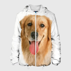 Мужская куртка 3D с принтом Золотистый ретривер в Ухте, ткань верха — 100% полиэстер, подклад — флис | прямой крой, подол и капюшон оформлены резинкой с фиксаторами, два кармана без застежек по бокам, один большой потайной карман на груди. Карман на груди застегивается на липучку | Тематика изображения на принте: животное | золотистый ретривер | порода | собака