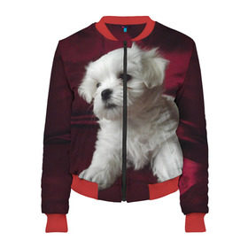 Женский бомбер 3D Мальтийская болонка: в Ухте, 100% полиэстер | застегивается на молнию, по бокам два кармана без застежек, мягкие манжеты, по низу бомбера и на воротнике — эластичная резинка | животное | мальтийская болонка | порода | собака