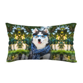 Подушка 3D антистресс с принтом Хаски в Ухте, наволочка — 100% полиэстер, наполнитель — вспененный полистирол | состоит из подушки и наволочки на молнии | животное | порода | собака | хаски
