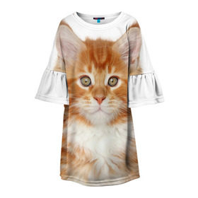 Детское платье 3D с принтом Рыжий котенок в Ухте, 100% полиэстер | прямой силуэт, чуть расширенный к низу. Круглая горловина, на рукавах — воланы | Тематика изображения на принте: животное | порода | рыжий котенок