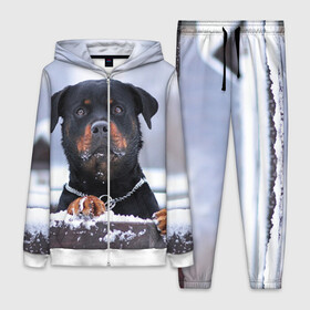 Женский костюм 3D с принтом Ротвейлер в Ухте,  |  | животное | порода | ротвейлер | собака