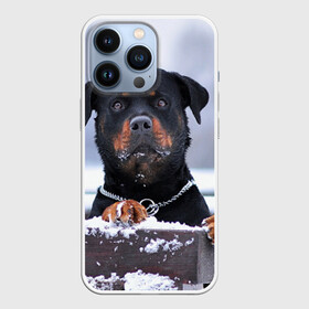 Чехол для iPhone 13 Pro с принтом Ротвейлер в Ухте,  |  | животное | порода | ротвейлер | собака