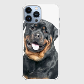 Чехол для iPhone 13 Pro Max с принтом Ротвейлер в Ухте,  |  | животное | порода | ротвейлер | собака