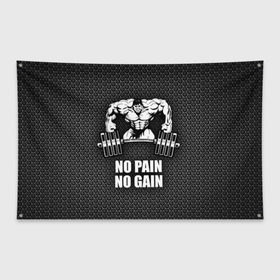 Флаг-баннер с принтом No pain no gain 2 в Ухте, 100% полиэстер | размер 67 х 109 см, плотность ткани — 95 г/м2; по краям флага есть четыре люверса для крепления | bodybuilding | no pain no gain | train hard | бодибилдинг | качалка | пауэрлифинг | тренажерный | фитнес