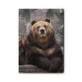 Обложка для автодокументов с принтом Русский медведь в Ухте, натуральная кожа |  размер 19,9*13 см; внутри 4 больших “конверта” для документов и один маленький отдел — туда идеально встанут права | медведь | россия | русский | русский медведь