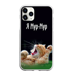 Чехол для iPhone 11 Pro матовый с принтом Мур мур в Ухте, Силикон |  | Тематика изображения на принте: киса | кот | котики | кошка | мур | мурмур | прикольные | смешной котик | ямурмур