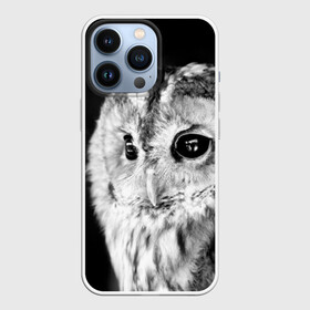 Чехол для iPhone 13 Pro с принтом Сова в Ухте,  |  | ночь | ночьная | птица | сова | фото | хищник | черно белое
