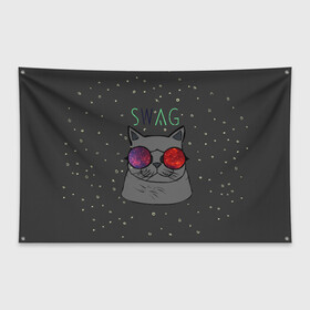 Флаг-баннер с принтом Swag Cat в Ухте, 100% полиэстер | размер 67 х 109 см, плотность ткани — 95 г/м2; по краям флага есть четыре люверса для крепления | кот | свэг