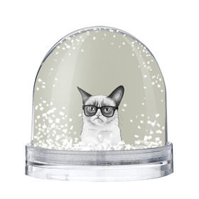 Снежный шар Кот - хипстер: в Ухте, Пластик | Изображение внутри шара печатается на глянцевой фотобумаге с двух сторон | cat | hipster | кот | кошка | хипстер