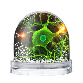 Водяной шар с принтом Нейрон в Ухте, Пластик | Изображение внутри шара печатается на глянцевой фотобумаге с двух сторон | клетка