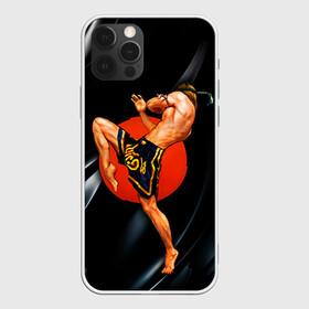Чехол для iPhone 12 Pro с принтом Muay thai 4 в Ухте, силикон | область печати: задняя сторона чехла, без боковых панелей | Тематика изображения на принте: muay thai