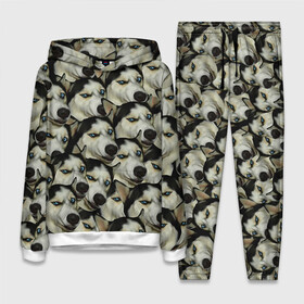 Женский костюм 3D (с толстовкой) с принтом Хаски в Ухте,  |  | хаски