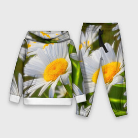 Детский костюм 3D (с толстовкой) с принтом Ромашки в Ухте,  |  | фото