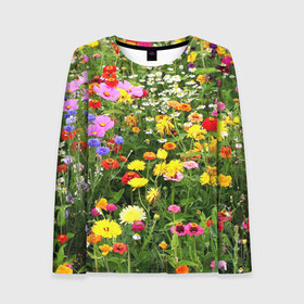Женский лонгслив 3D с принтом Полевые цветы 1 в Ухте, 100% полиэстер | длинные рукава, круглый вырез горловины, полуприлегающий силуэт | поле | полевые цветы | цветы