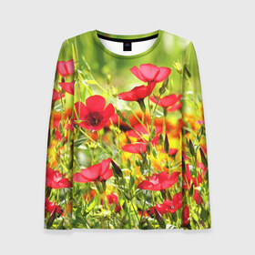 Женский лонгслив 3D с принтом Полевые цветы 5 в Ухте, 100% полиэстер | длинные рукава, круглый вырез горловины, полуприлегающий силуэт | поле | полевые цветы | цветы