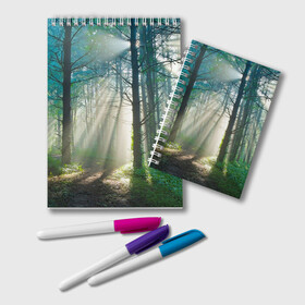 Блокнот Утренний лес: в Ухте, 100% бумага | 48 листов, плотность листов — 60 г/м2, плотность картонной обложки — 250 г/м2. Листы скреплены удобной пружинной спиралью. Цвет линий — светло-серый
 | дерево | солнце