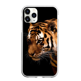 Чехол для iPhone 11 Pro матовый с принтом Тигр в Ухте, Силикон |  | полосы | хищник