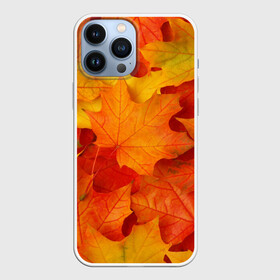 Чехол для iPhone 13 Pro Max с принтом Кленовые листья в Ухте,  |  | Тематика изображения на принте: дары осени | жёлтый | золотой | клён | краски | красный | красота | листва | листья | наряд | оранжевый | осень | покров | природа