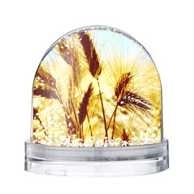 Снежный шар Колос: в Ухте, Пластик | Изображение внутри шара печатается на глянцевой фотобумаге с двух сторон | желтый | злаки | поле | пшеница