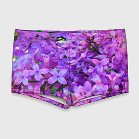 Мужские купальные плавки 3D Сирень: в Ухте, Полиэстер 85%, Спандекс 15% |  | весна | красота | сирень | цветы