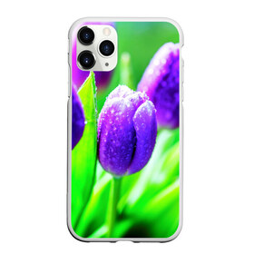 Чехол для iPhone 11 Pro Max матовый с принтом Тюльпаны в Ухте, Силикон |  | Тематика изображения на принте: красота | поле | природа | тюльпаны | цветы