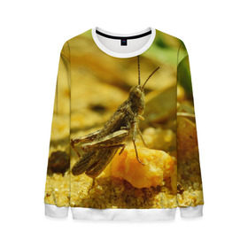 Мужской свитшот 3D Кузнечик: в Ухте, 100% полиэстер с мягким внутренним слоем | круглый вырез горловины, мягкая резинка на манжетах и поясе, свободная посадка по фигуре | кузнечик | насекомые