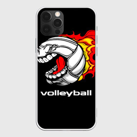 Чехол для iPhone 12 Pro Max с принтом Волейбол 26 в Ухте, Силикон |  | volleyball | волейбол
