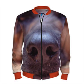 Мужской бомбер 3D с принтом Овчарка в Ухте, 100% полиэстер | застегивается на молнию, по бокам два кармана без застежек, по низу бомбера и на воротнике - эластичная резинка | овчарка | овчарки | собака | собаки