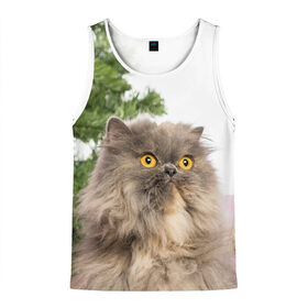 Мужская майка 3D с принтом Пушистый кот в Ухте, 100% полиэстер | круглая горловина, приталенный силуэт, длина до линии бедра. Пройма и горловина окантованы тонкой бейкой | 